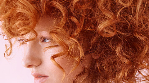 all-over-color-merida